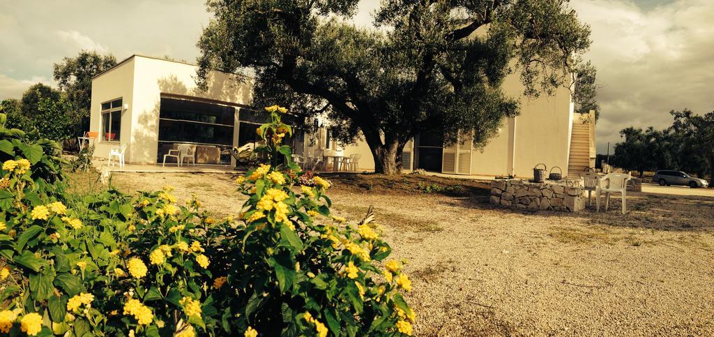 B&B Finestre Tra Gli Ulivi Mesagne Εξωτερικό φωτογραφία