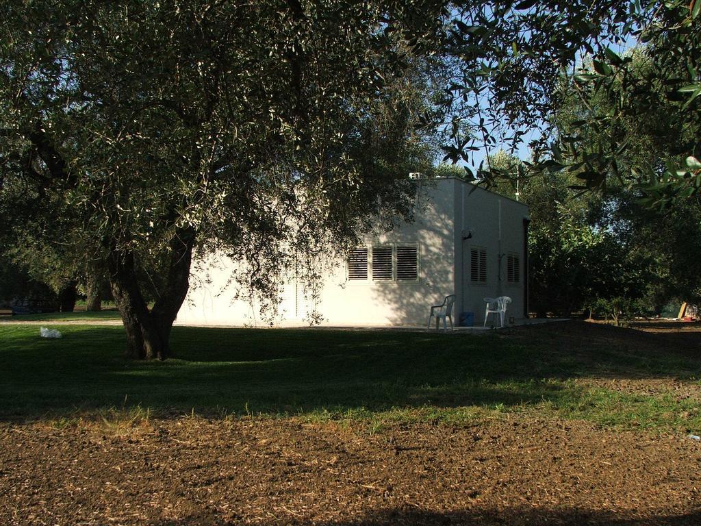 B&B Finestre Tra Gli Ulivi Mesagne Δωμάτιο φωτογραφία