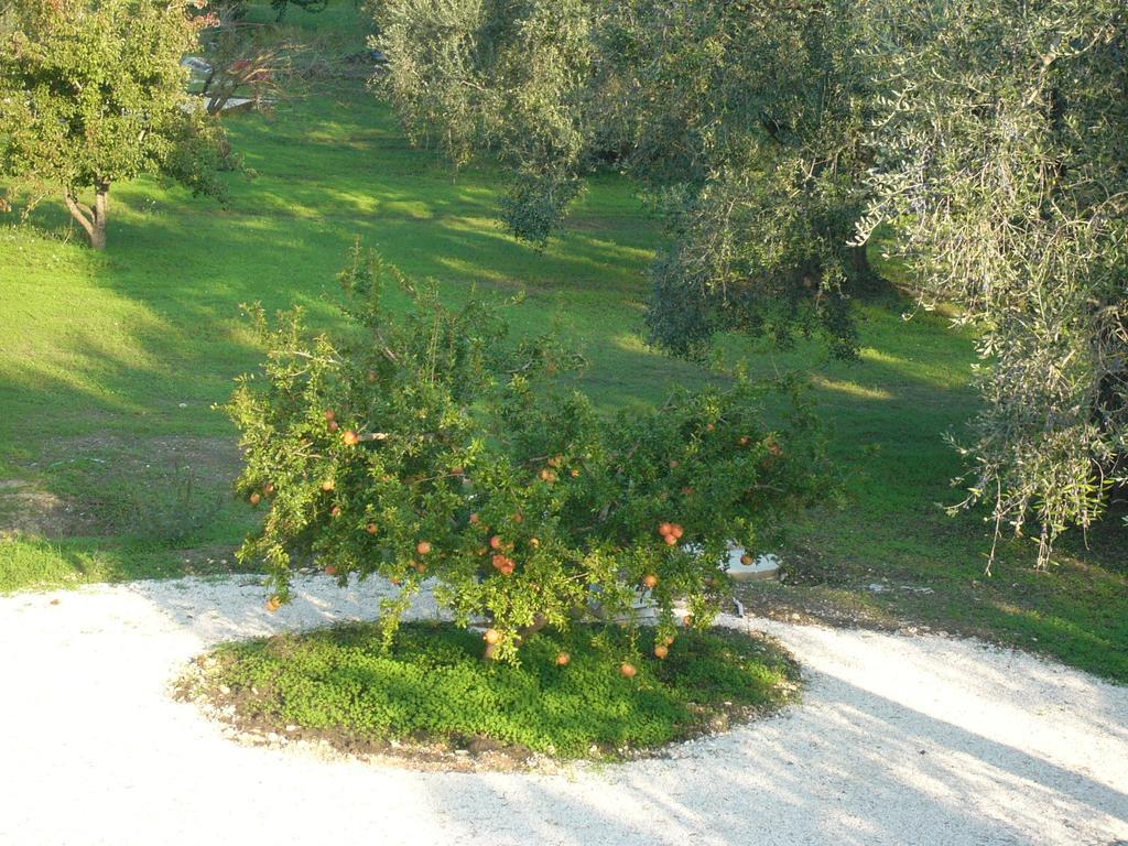 B&B Finestre Tra Gli Ulivi Mesagne Εξωτερικό φωτογραφία
